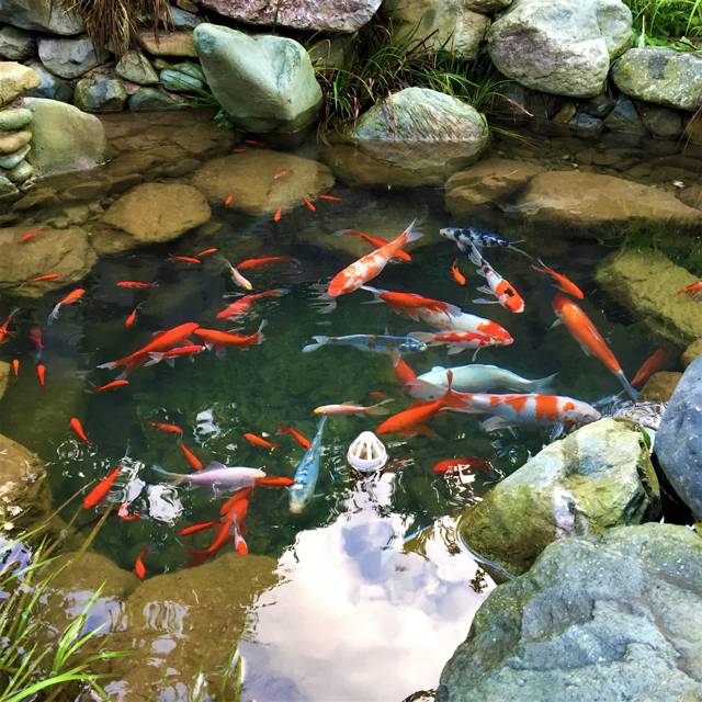 云門山居，雕琢廚藝隱居世外匠心如一