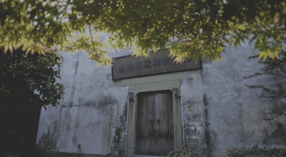 塘棲古鎮(zhèn)小茶姑娘，古鎮(zhèn)溪邊沐浴清風(fēng)滌蕩心靈