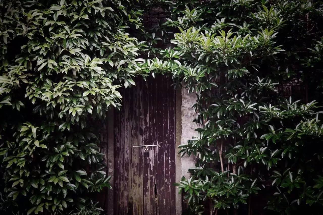 塘棲古鎮(zhèn)小茶姑娘，古鎮(zhèn)溪邊沐浴清風滌蕩心靈