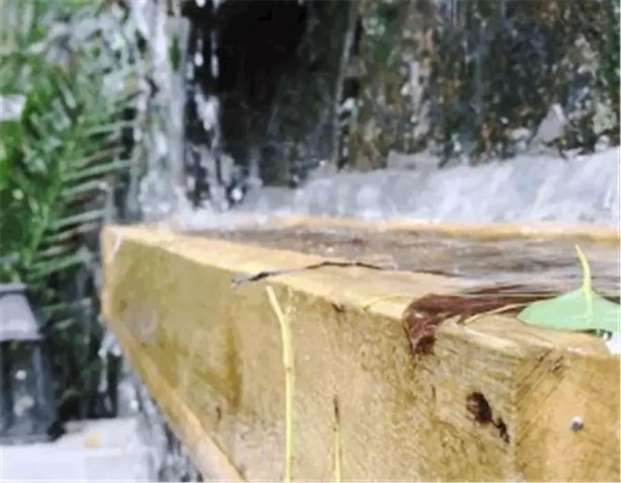 杭州·若白雅苑，擁有無邊泳池「最好泡民宿」