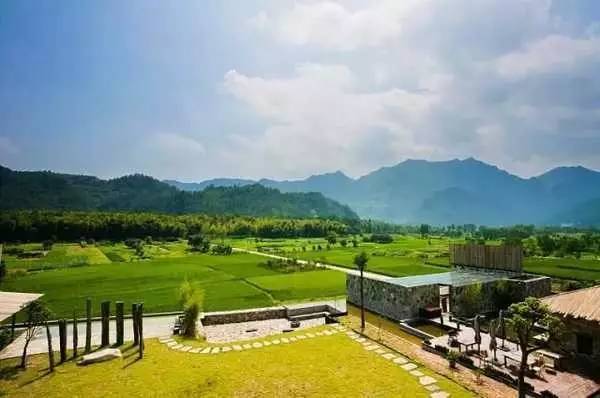 3間開在稻田里的民宿，回歸自然向往田園風(fēng)光