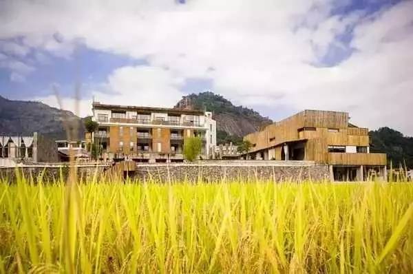 3間開(kāi)在稻田里的民宿，回歸自然向往田園風(fēng)光