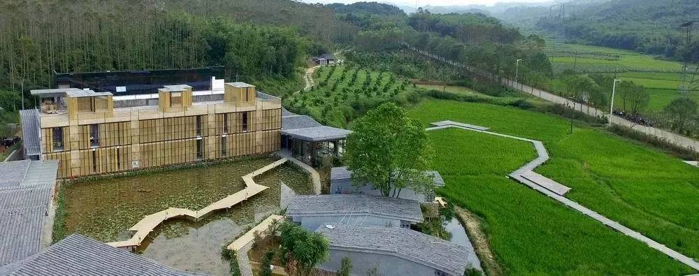 3間開在稻田里的民宿，回歸自然向往田園風光