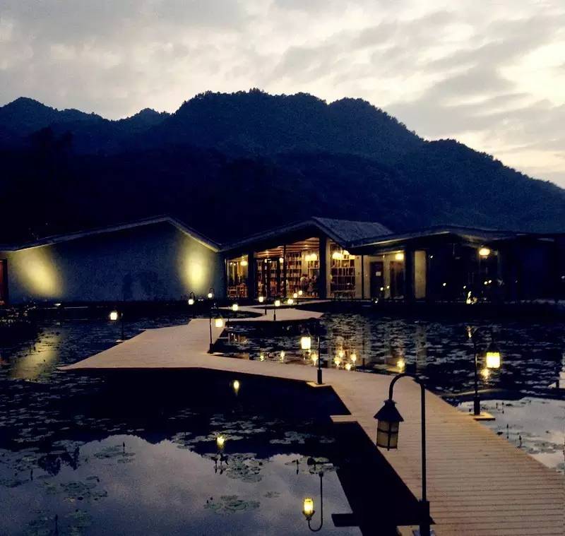 3間開在稻田里的民宿，回歸自然向往田園風光