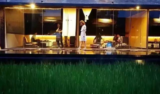 3間開在稻田里的民宿，回歸自然向往田園風(fēng)光