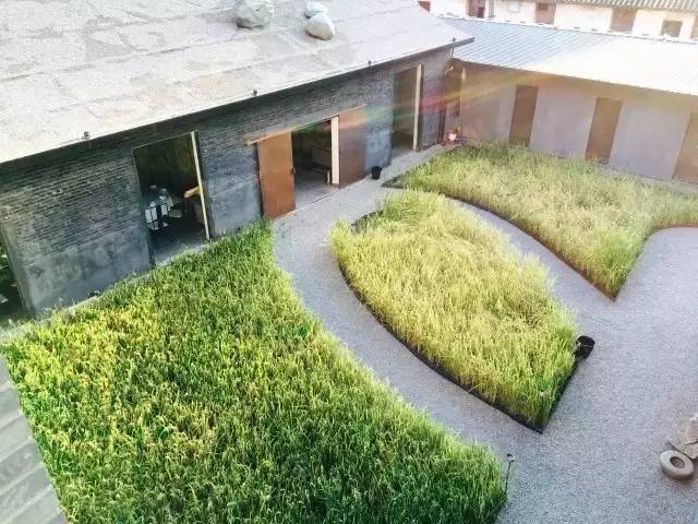 3間開在稻田里的民宿，回歸自然向往田園風(fēng)光
