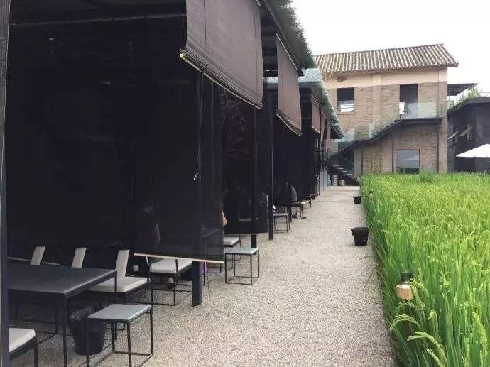 3間開在稻田里的民宿，回歸自然向往田園風(fēng)光