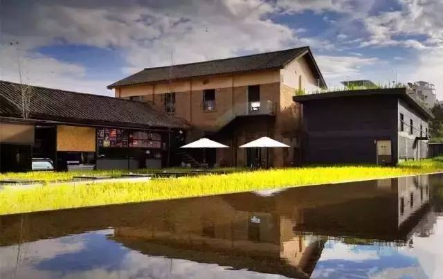 3間開在稻田里的民宿，回歸自然向往田園風(fēng)光