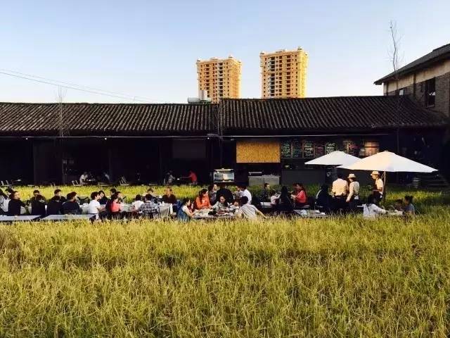 3間開在稻田里的民宿，回歸自然向往田園風(fēng)光