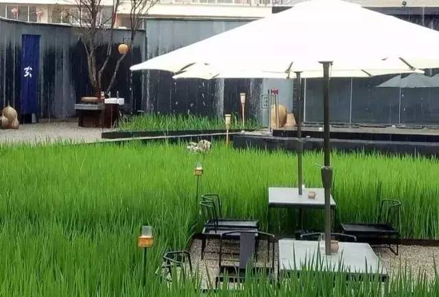 3間開在稻田里的民宿，回歸自然向往田園風(fēng)光