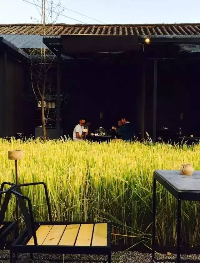 3間開在稻田里的民宿，回歸自然向往田園風光