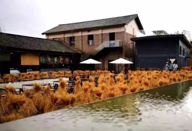 3間開在稻田里的民宿，回歸自然向往田園風光