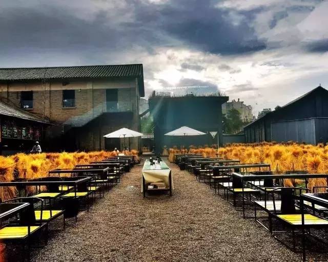 3間開在稻田里的民宿，回歸自然向往田園風光