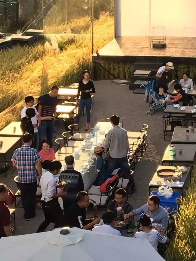 3間開(kāi)在稻田里的民宿，回歸自然向往田園風(fēng)光