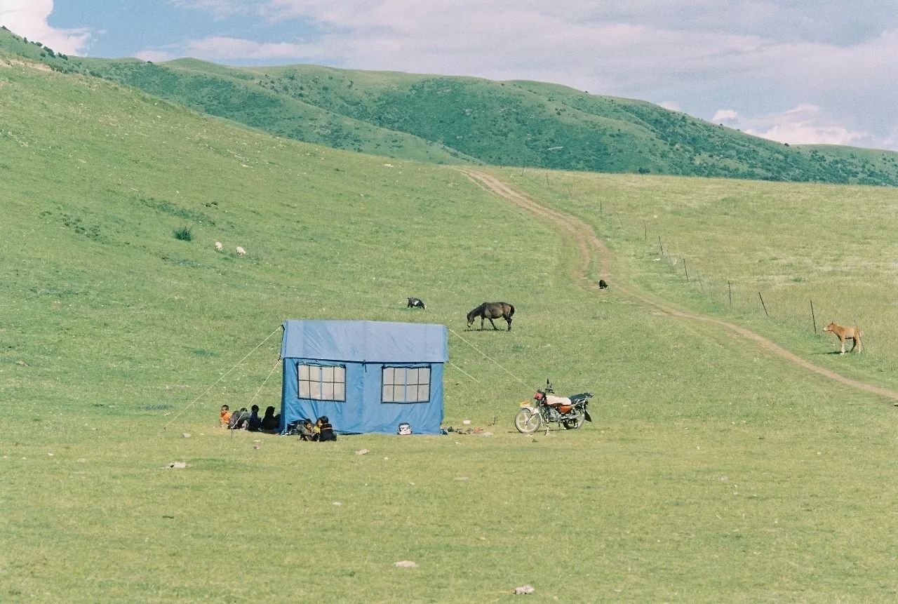 大理密嚴，繁花盛放找尋已久的內(nèi)心凈土