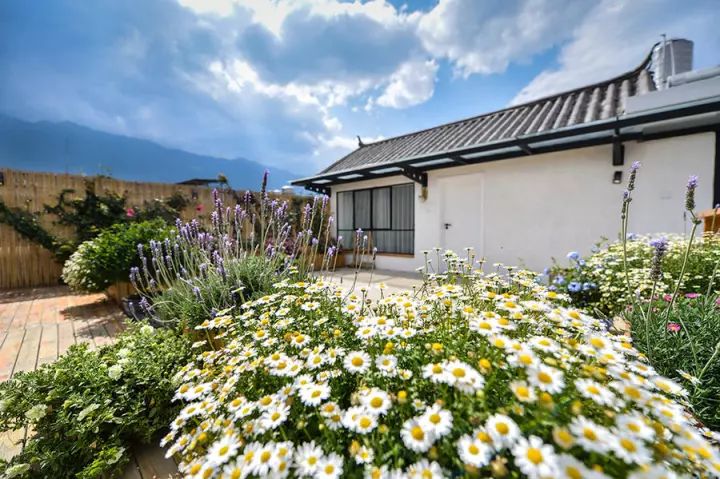 大理密嚴，繁花盛放找尋已久的內(nèi)心凈土