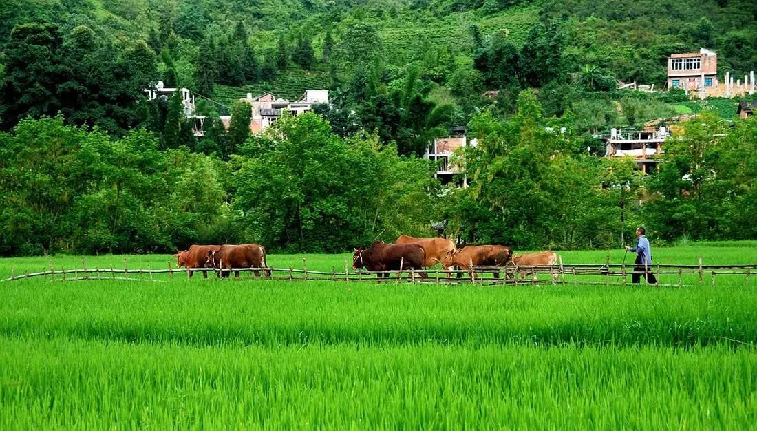 壩美·歸園，隱居聽心歸于自然盡享鄉(xiāng)村野趣
