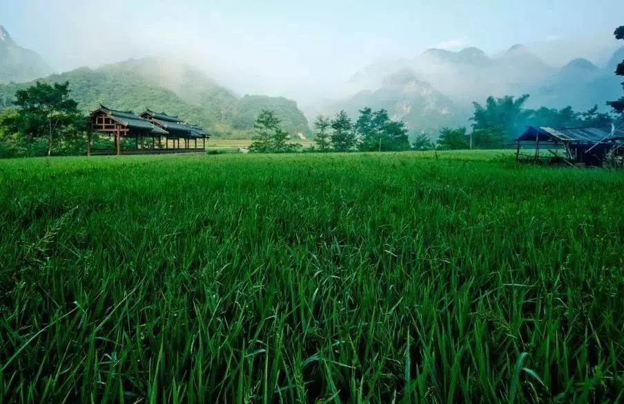 壩美·歸園，隱居聽心歸于自然盡享鄉(xiāng)村野趣