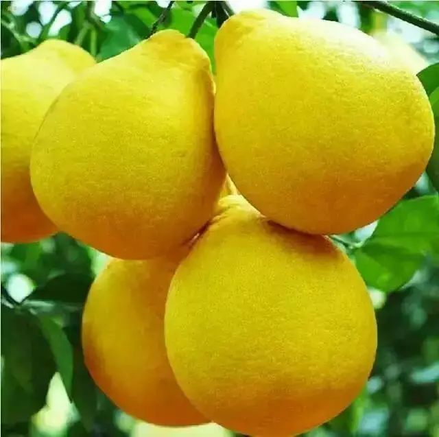 云澗阡陌·野望，特色度假小鎮(zhèn)體驗親子主題民宿