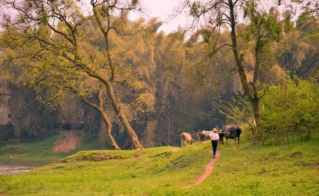 云澗阡陌·野望，特色度假小鎮(zhèn)體驗親子主題民宿