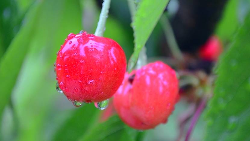 煙臺·極客客棧，歡迎每一顆想要逃離的心