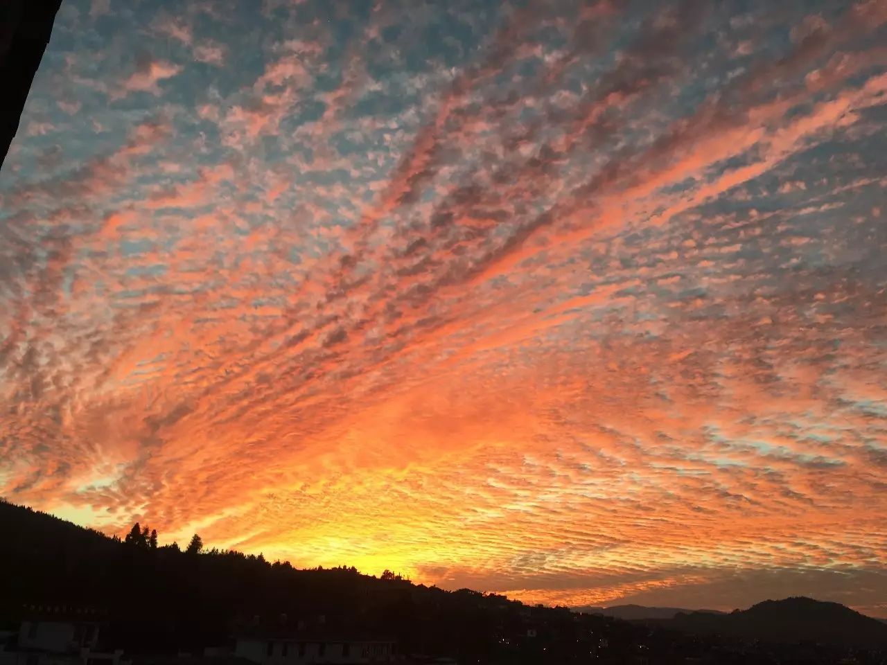 安之若宿，像家一樣既來之則安之