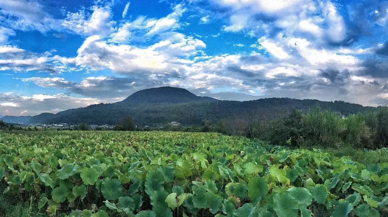 安之若宿，像家一樣既來之則安之