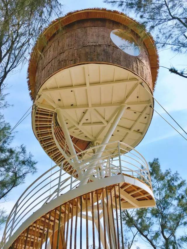 翡翠灣，在遼闊的海洋前做回?zé)o憂快樂的自我