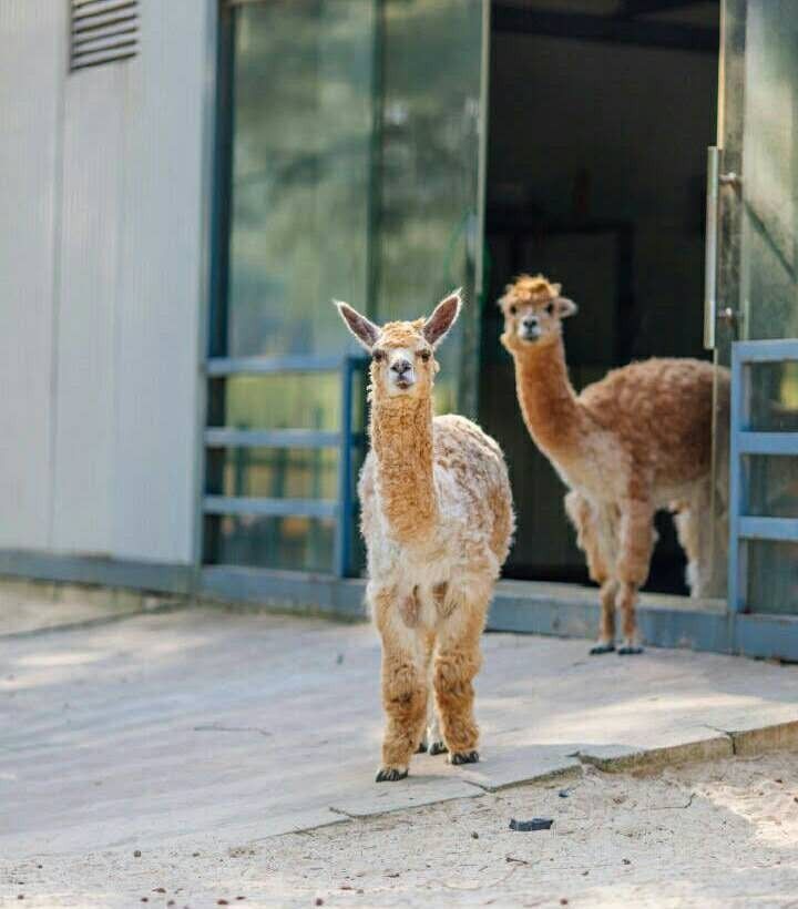 翡翠灣，在遼闊的海洋前做回?zé)o憂快樂(lè)的自我