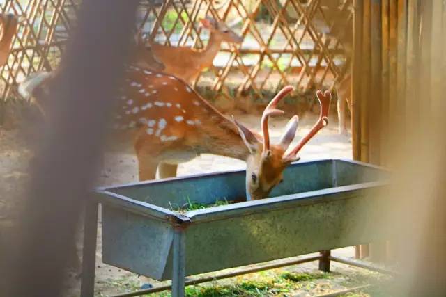 翡翠灣，在遼闊的海洋前做回?zé)o憂(yōu)快樂(lè)的自我