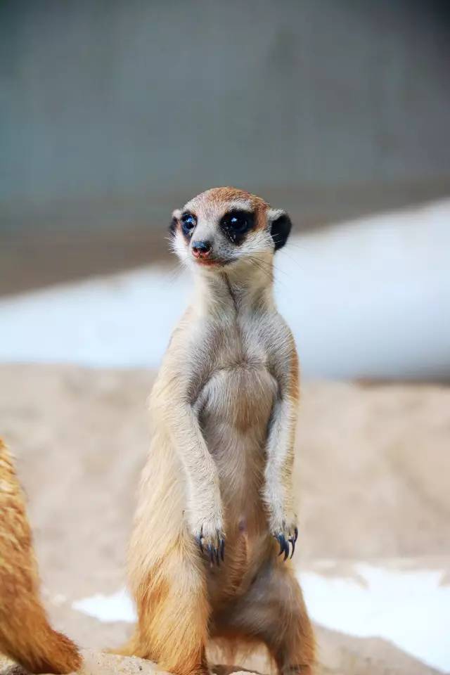 翡翠灣，在遼闊的海洋前做回?zé)o憂(yōu)快樂(lè)的自我