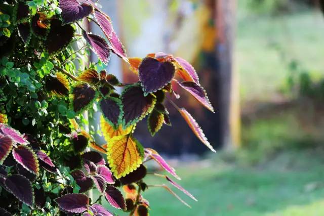 翡翠灣，在遼闊的海洋前做回?zé)o憂(yōu)快樂(lè)的自我