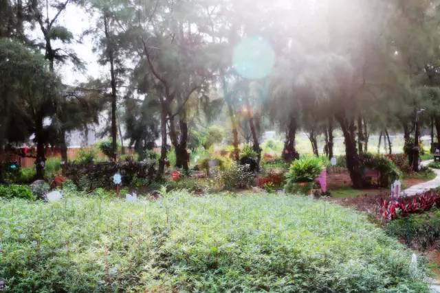 翡翠灣，在遼闊的海洋前做回?zé)o憂(yōu)快樂(lè)的自我