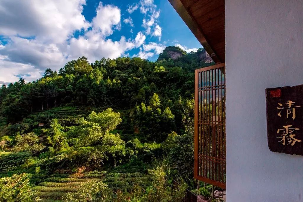 叢山茶境，一片天一座山忘了山外忘卻自己