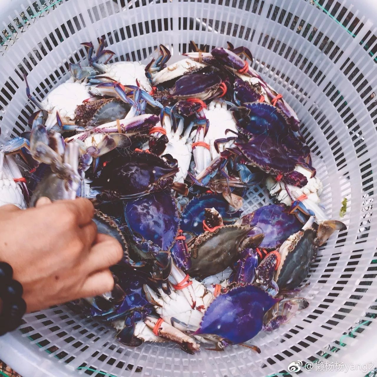 樸宿·微瀾山居，空山鳥語(yǔ)就在身畔