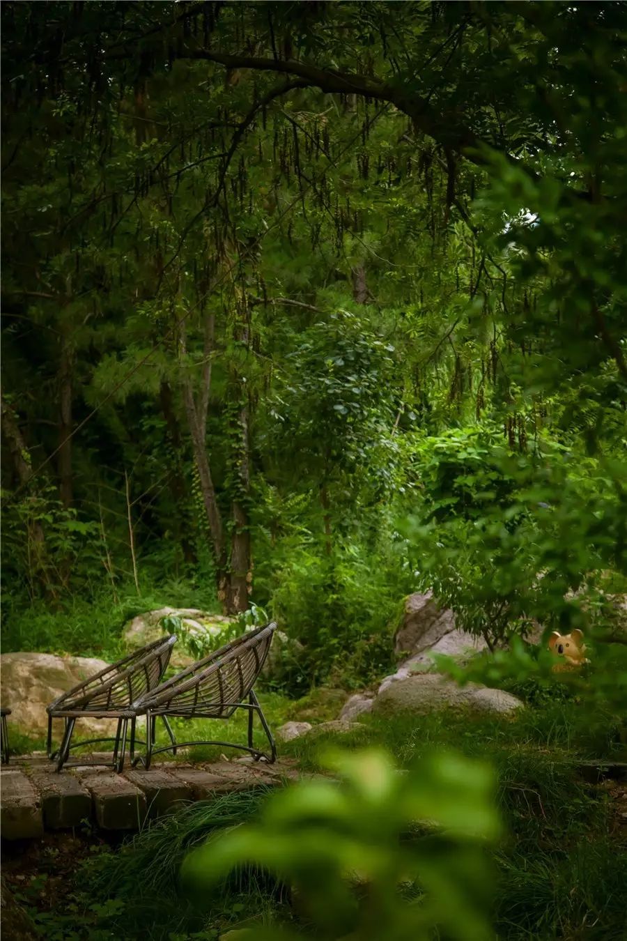 樸宿·微瀾山居，空山鳥(niǎo)語(yǔ)就在身畔