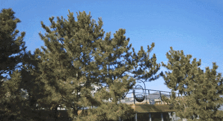 樸宿·微瀾山居，空山鳥(niǎo)語(yǔ)就在身畔