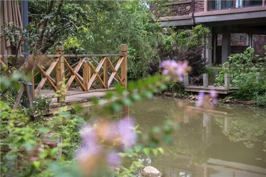 武夷山·山玖如意莊，一杯清茶一萬(wàn)個(gè)品茶人