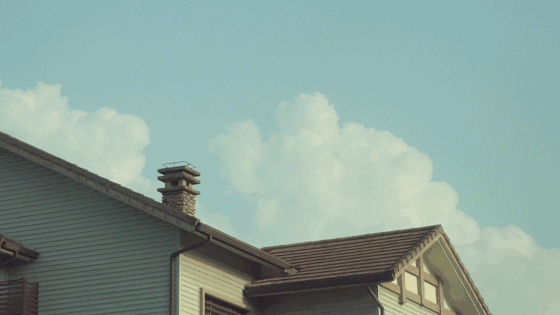 武夷山·山玖如意莊，一杯清茶一萬(wàn)個(gè)品茶人