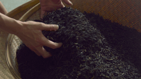 武夷山·山玖如意莊，一杯清茶一萬個品茶人