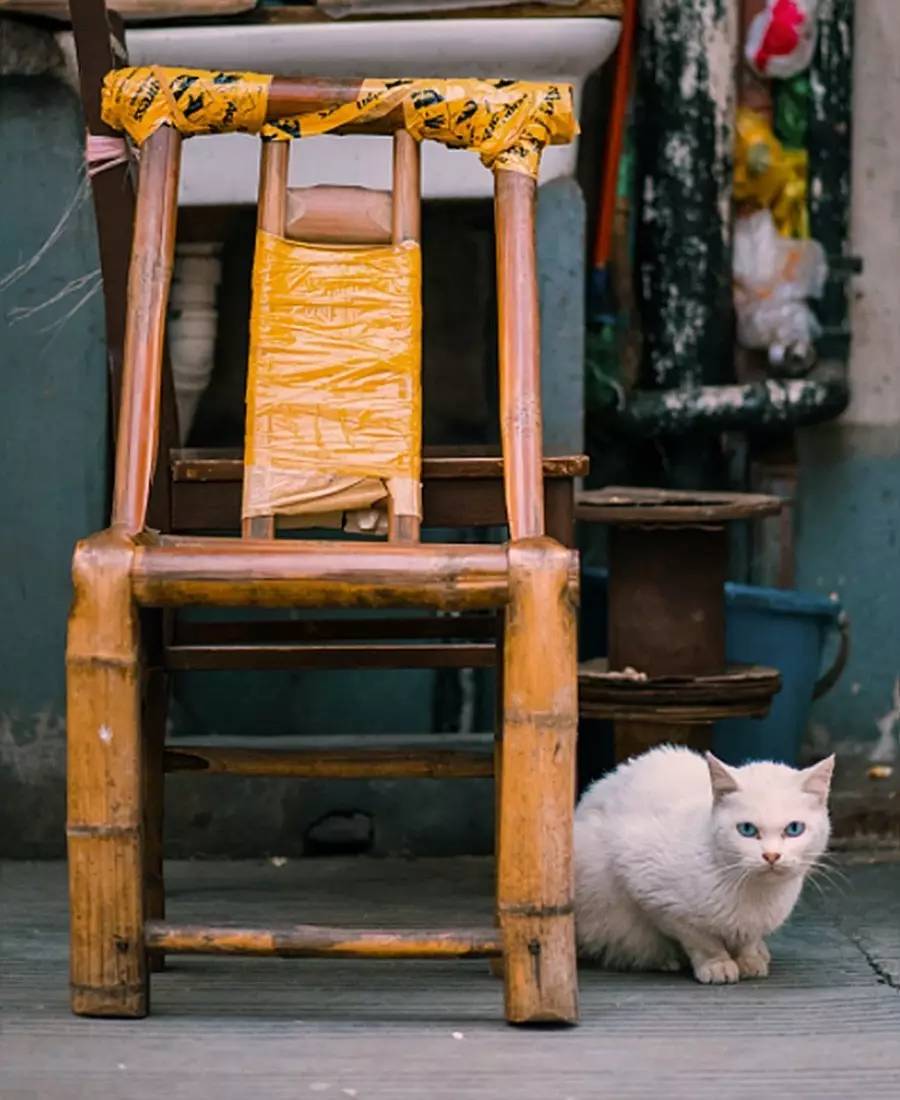 竹制好物，竹編工藝之美！