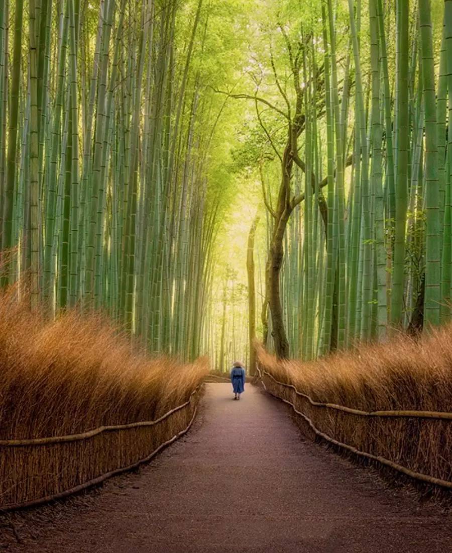 竹制好物，竹編工藝之美！