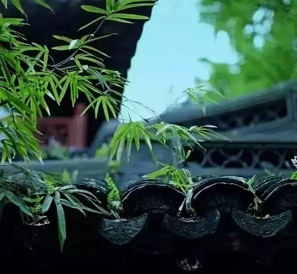 古建筑，一片瓦，遮風(fēng)擋雨