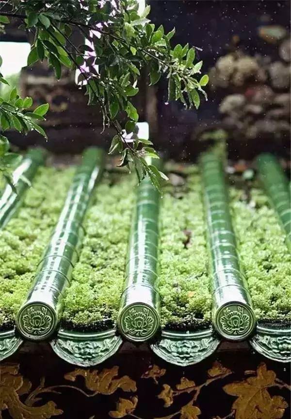 古建筑，一片瓦，遮風(fēng)擋雨