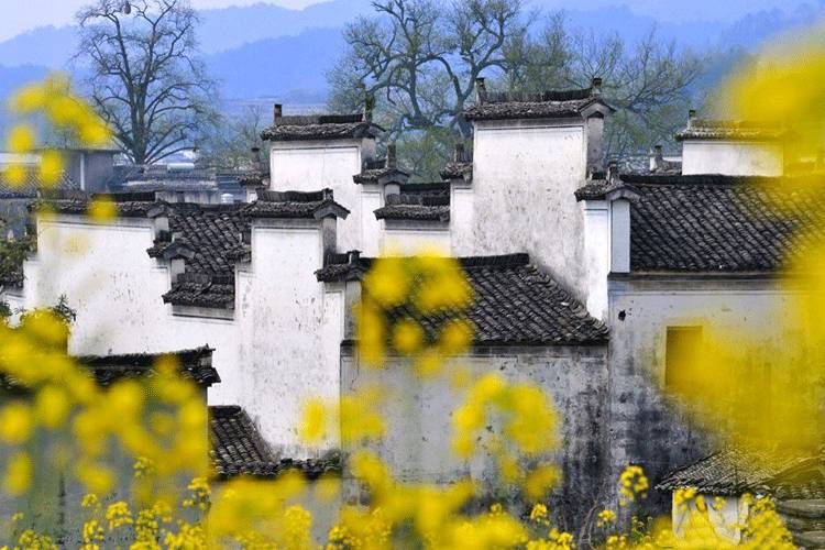 古建筑，一片瓦，遮風(fēng)擋雨