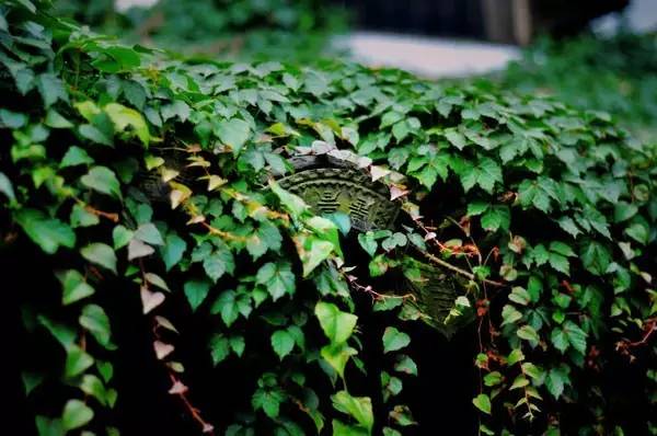 古建筑，一片瓦，遮風(fēng)擋雨