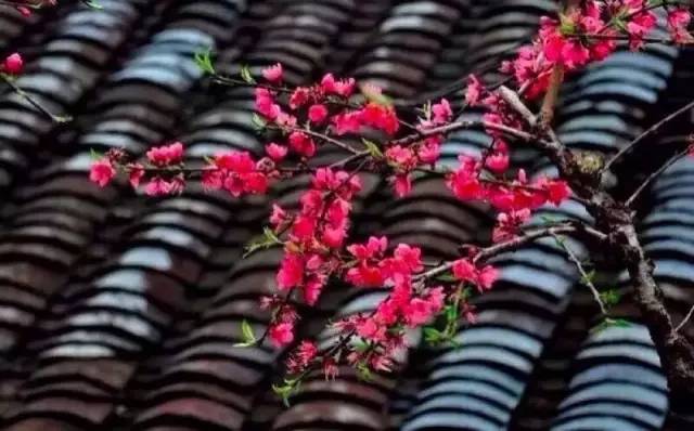 古建筑，一片瓦，遮風(fēng)擋雨