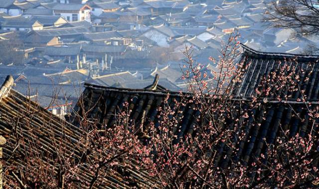 古建筑，一片瓦，遮風(fēng)擋雨