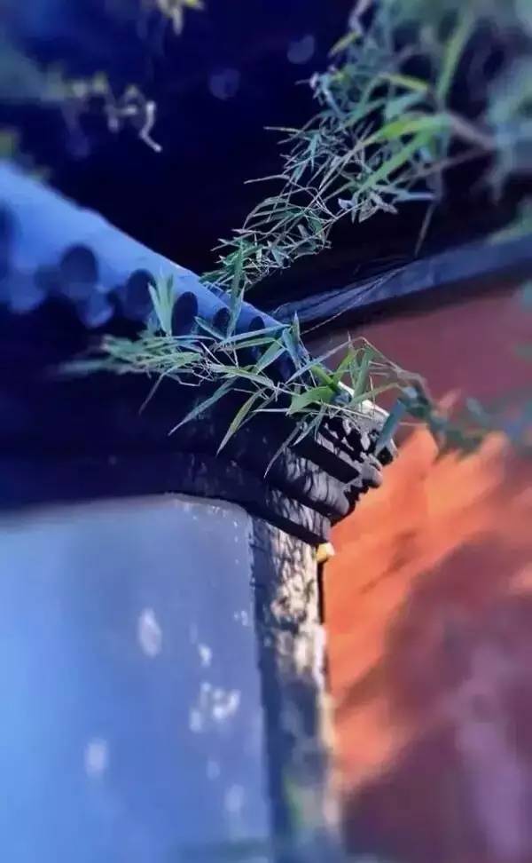 古建筑，一片瓦，遮風(fēng)擋雨