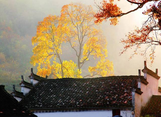 古建筑，一片瓦，遮風(fēng)擋雨